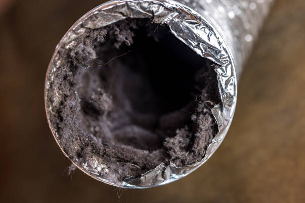 Best Air Duct Cleaning Company Near Me  in Spokane, WA
